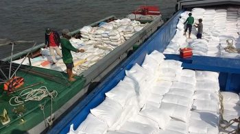 Nhà nhập khẩu sẽ tăng mua gạo vào cuối tháng Ba