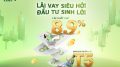 Chiến Lược Giao Dịch Ngắn Hạn Của Nhà Đầu Tư Sẽ Hiệu Quả Hơn Nhờ Công Ty Chứng Khoán