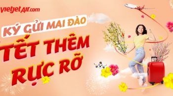 Vietjet vận chuyển mai, đào trong dịp Tết Nguyên đán