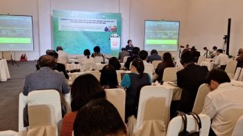 Ngành cao su 2025 – Xu hướng giá và cơ hội thị trường toàn cầu trong bối cảnh EUDR