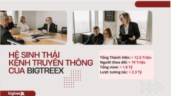 Từ dữ liệu đến niềm tin: BigTreeX đã tái định nghĩa truyền thông tài chính như thế nào?